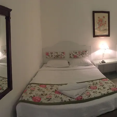 Pasha 4*