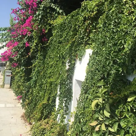 Pasha Frühstückspension 4*