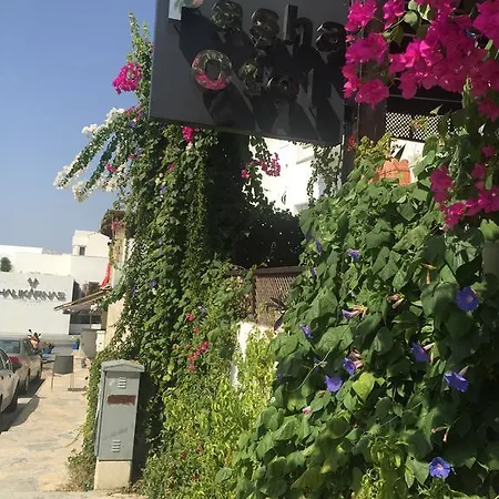 مكان مبيت وإفطار باشا موتيل فندق مبيت وإفطار 2*