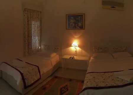 Bed and breakfast Pasha