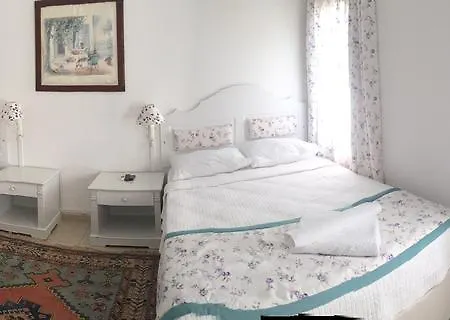 Bed and breakfast Pasha 4*
