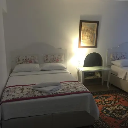 فندق مبيت وإفطار مكان مبيت وإفطار باشا موتيل