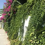 Pasha Bed & Breakfast 4*