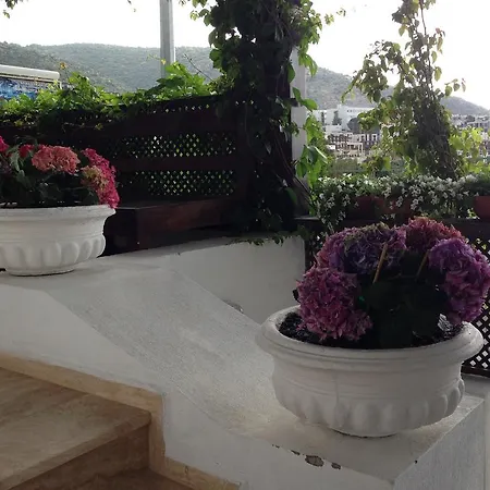 Bed and Breakfast Pasha Αλικαρνασσός