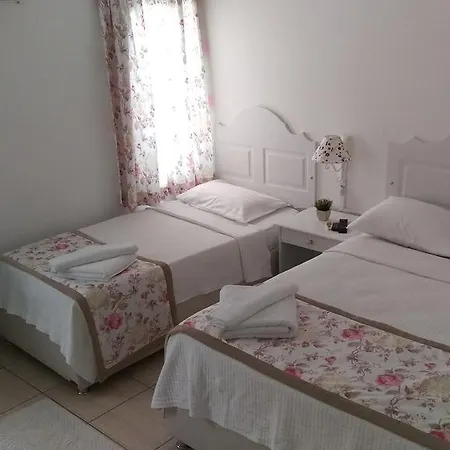 Pasha 4*