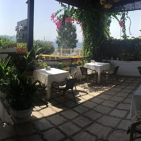 Pasha 4*